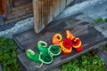 Two pairs of dwarf felt shoes at the entrance of an old wooden house. Dwarves came to visit Royalty Free Stock Photo