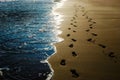 Two pairs of footprints in the sand on the beach Royalty Free Stock Photo
