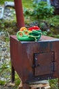 Two pairs of shoes, green and red. The dwarves have put their felt shoes to dry on an old rusty stove Royalty Free Stock Photo