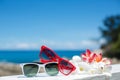 Two pairs of sunglasses on background of ocean Royalty Free Stock Photo