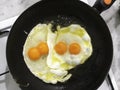 Two pairs of twin fried eggs. Royalty Free Stock Photo