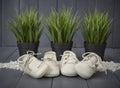 Close-up of white newborn shoes with laces, placed one on top of the other, on gray wooden background and three green plants Royalty Free Stock Photo