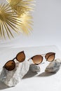 Two pairs of womens sunglasses on marble stones on gray background with golden palm leaf - summer fashion concept. Trendy Royalty Free Stock Photo