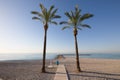 Two palm trees in beach framing ocean