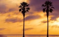 Two Palm trees, heavy dramatic clouds and bright sky.s