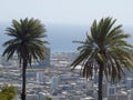 Two Palm trees with Honolulu in the distance Royalty Free Stock Photo