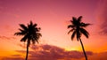 Two palm trees silhouette on sunset Royalty Free Stock Photo