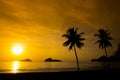 Two palm trees silhouette on sunset Royalty Free Stock Photo