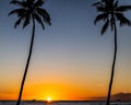 Two Palm trees in the sunset Royalty Free Stock Photo