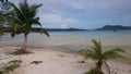 Two Palm trees on a tropical beach. Blue water perfect for a swim. Holidays in Asia. Royalty Free Stock Photo