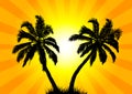 Two palms in the background of the sun Royalty Free Stock Photo