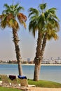 Two palms with Dubai skyline Royalty Free Stock Photo