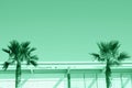 Two palms in a minimalist urban landscape toned in trendy mint color