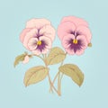 Vintage Cut-and-paste Illustration Of Pink Pansies In A Green Bouquet Royalty Free Stock Photo