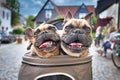 Two panting French Bulldog dogs with open mouths sticking heads out of dog buggy with blurry city street in background Royalty Free Stock Photo