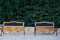 Two park benches on a natural stone floor in front of a small stone wall and a cypress hedge Royalty Free Stock Photo