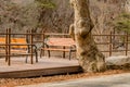 Two park benches on wooden boardwalk Royalty Free Stock Photo