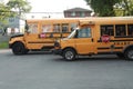 two parked sharp yellow and black school buses with black stripes Royalty Free Stock Photo