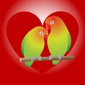 Two parrots on branch and heart.