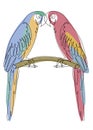 Two parrots are sitting on a twist. Enamored birds in one line modern style. Solid line, outline for decor, posters, stickers, log