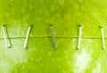 Two parts of green apple stapled together Royalty Free Stock Photo