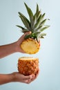 Two parts of pineapple in hands on pastel blue background. Copy space Royalty Free Stock Photo