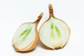 Two parts of sliced onion isolated white background macro Royalty Free Stock Photo