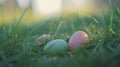 Two pastel-colored easter eggs are nestled in the green grass, illuminated by the warm glow of the setting sun, creating a Royalty Free Stock Photo