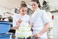 Two pastry bakers decorating large cake Royalty Free Stock Photo