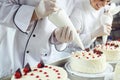 Two pastry chefs decorate a cake from a bag in a pastry shop Royalty Free Stock Photo