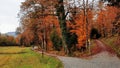 Two paths in a magical autumn forest Royalty Free Stock Photo