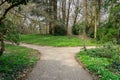 two paths in the nature decision concept in Sarvar arboretum early spring time with wild flowers Royalty Free Stock Photo