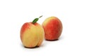 Two peaches isolated Royalty Free Stock Photo