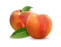 Two Peaches isolated Royalty Free Stock Photo