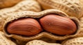 Two peanuts encased in a textured, tan shell. The shell is partially cracked open to re Royalty Free Stock Photo