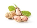 Two peanuts with green leaf isolated on white background Royalty Free Stock Photo
