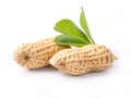 Two peanuts with green leaf isolated on white background Royalty Free Stock Photo