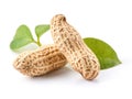 Two peanuts with green leaf isolated on white background Royalty Free Stock Photo