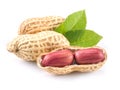 Two peanuts with green leaf isolated on white background Royalty Free Stock Photo