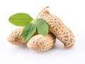 Two peanuts with green leaf isolated on white background Royalty Free Stock Photo