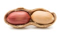 Two peanuts in shell isolated on white background Royalty Free Stock Photo