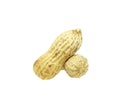 Two peanuts with texture isolated on white background. Dried peanuts for snack in closeup