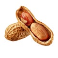 Two Peanuts in Their Shell, One Cracked Open Royalty Free Stock Photo