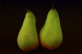 Two pears. Dark background