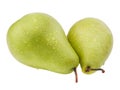 Two pears in drops of water close-up on white isolated background Royalty Free Stock Photo
