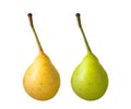 Two pears isolated on white background Royalty Free Stock Photo