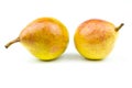Two pears of yellow-pink color isolated on a white background Royalty Free Stock Photo