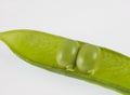 Two Peas in a Pod Royalty Free Stock Photo