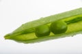 Two peas in a pod Royalty Free Stock Photo