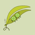 Two peas in a pod. Concept of similarity. Metaphorical idiom. Royalty Free Stock Photo